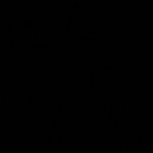 Meet your Posher, Kendal